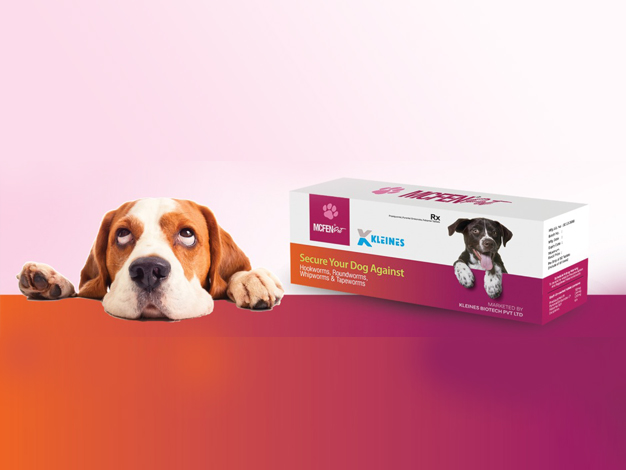 Image showing MCFEN Pet Tablet strip containing 10 tablets for controlling hookworms, roundworms, and tapeworms in pets."