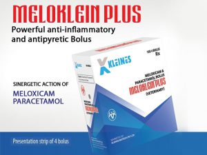 Image showing MELOKLEIN PLUS BOLUS strip containing 4 boluses, each containing Meloxicam 100 mg and Paracetamol 1500 mg.